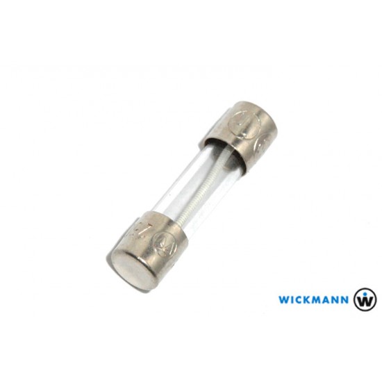德國 WICKMANN-WERKE GmbH 保險絲 250mA / T 5x20(mm)