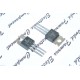 FAIRCHILD 2SC2562 電晶體 x 1