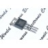 PHILIPS BUK455-200A 電晶體 1顆1標