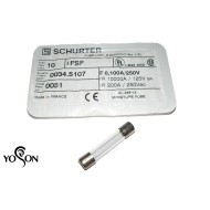 SCHURTER保險絲/F/500mA 6.3x32(mm)